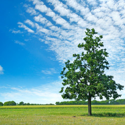 Similar image 13633051