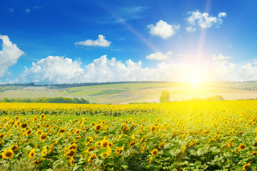 Similar image 13633076