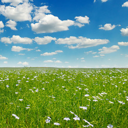 Similar image 13633684