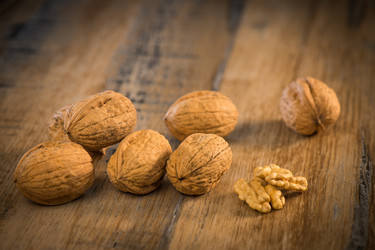 Similar image 14512328