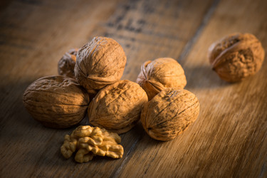 Similar image 14512350