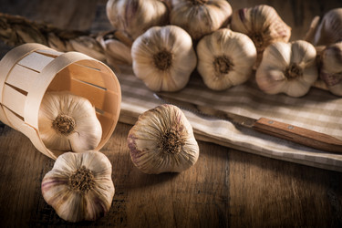 Similar image 14512360