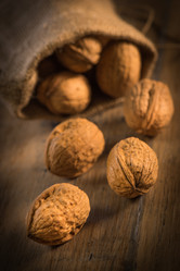 Similar image 14512540