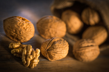 Similar image 14512569