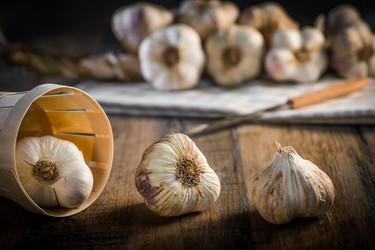 Similar image 14512582