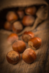 Similar image 14512580