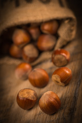 Similar image 14512597