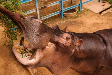 Similar image 14869175