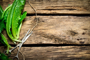 Similar image 14872475