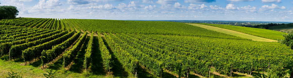 Similar image 14870089