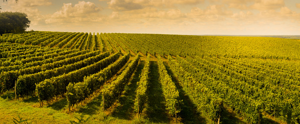 Similar image 14870090