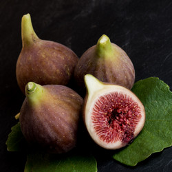 Similar image 14870316