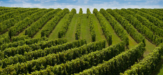 Similar image 14870352