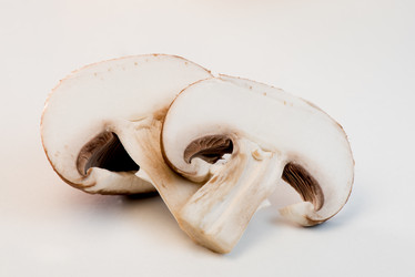 Similar image 14870217