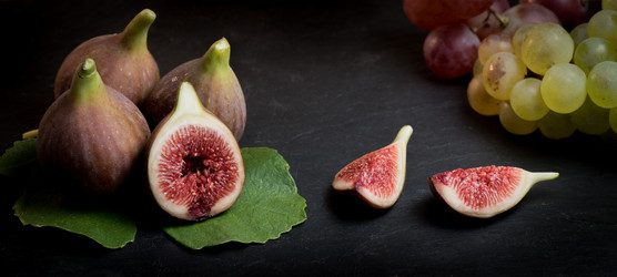 Similar image 14870239