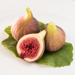 Similar image 14870243