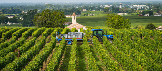 Similar image 14870299