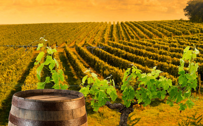 Similar image 14870599