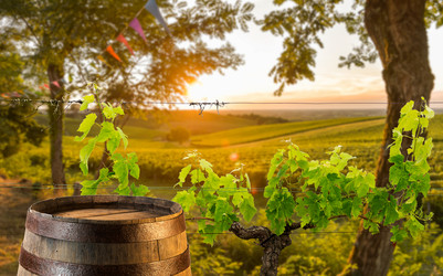 Similar image 14870600