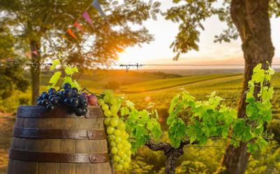 Similar image 14870601