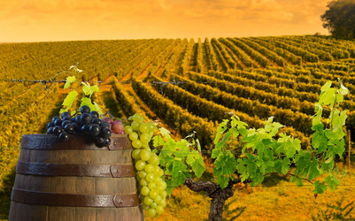 Similar image 14870602