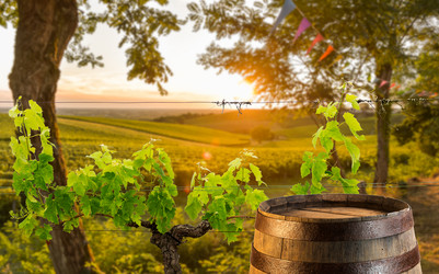 Similar image 14870634