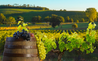 Similar image 14870635