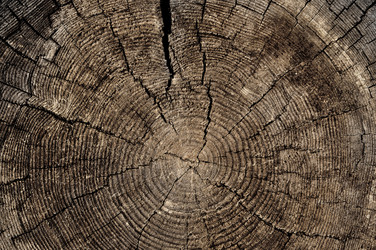 Similar image 13634983