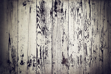 Similar image 13635026