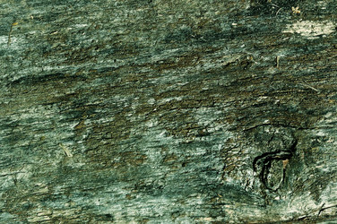 Similar image 13635121