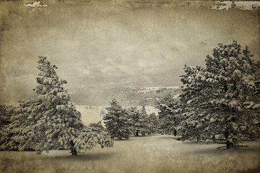 Similar image 13636517