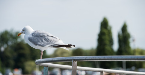 Similar image 14512151