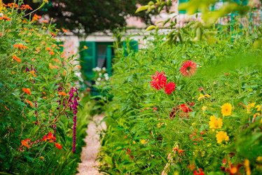 Similar image 14870531