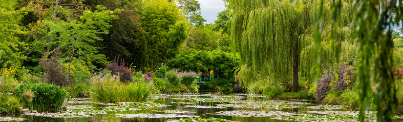 Similar image 14870559