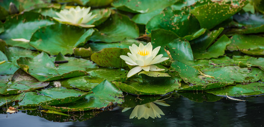 Similar image 14870096