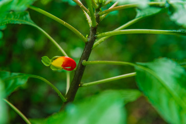 Similar image 14870121