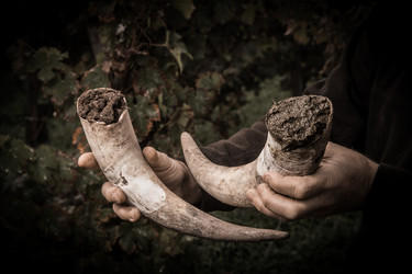 Similar image 14870661