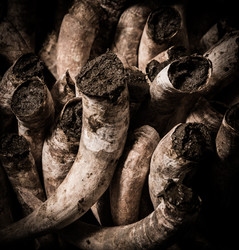 Similar image 14512153