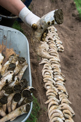 Similar image 14512154