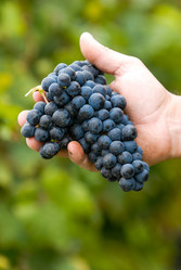 Similar image 14870087