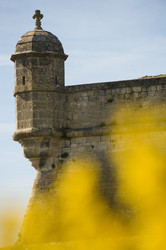 Similar image 14870273