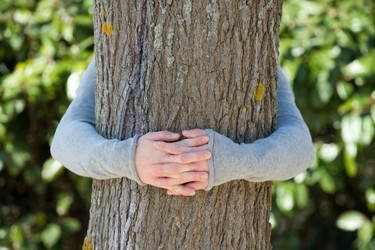 Similar image 14870291