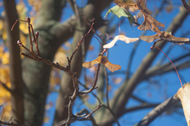 Similar image 13326930