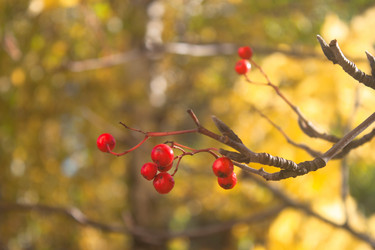 Similar image 13326933