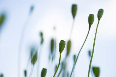 Similar image 14870099