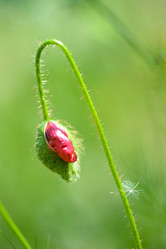 Similar image 14870102