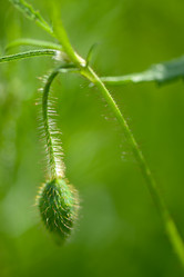 Similar image 14870103