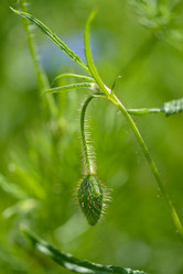 Similar image 14870104