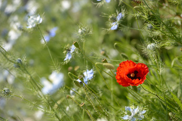 Similar image 14870141