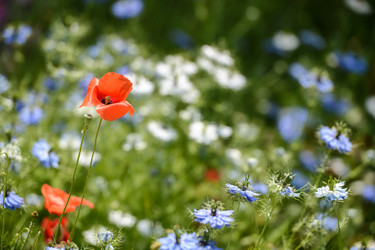 Similar image 14870142